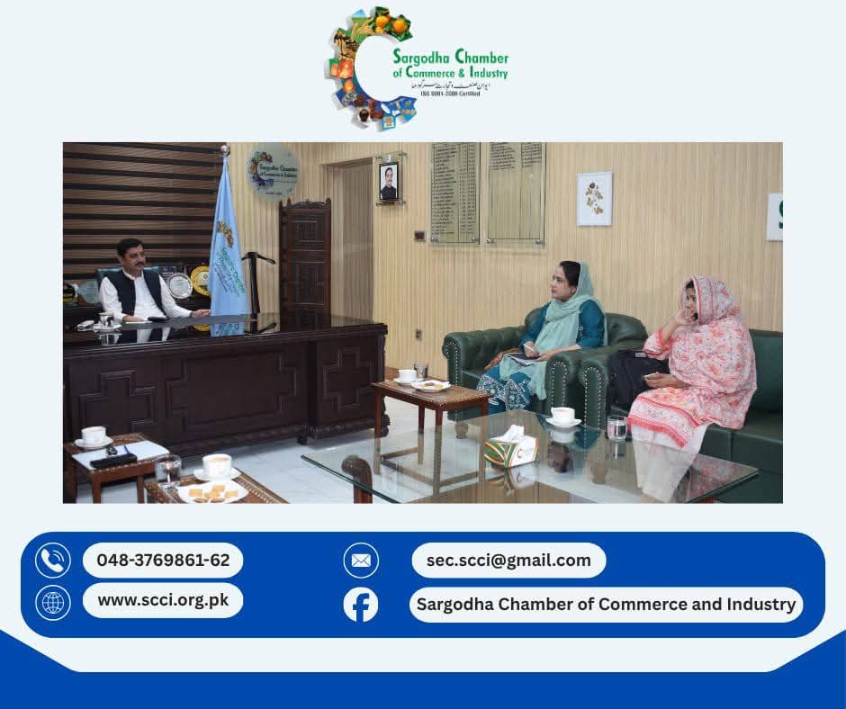 1763027740_WhatsApp Image 2025-11-13 at 14.49.15_6fe167f8.jpg